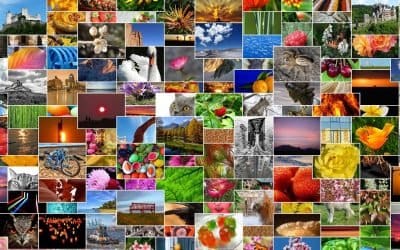 Remember That You Can Search for Nearly Anything in Your Photos Library