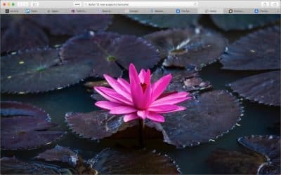 Make Safari Tabs Easier to Identify by Adding Icons
