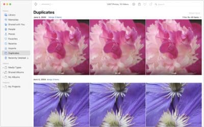 Merge Duplicate Photos and Videos in iOS 16, iPadOS 16, and Ventura